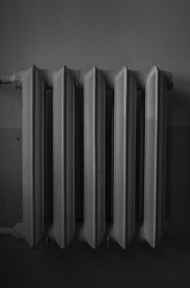 A radiator perfect for greening your home