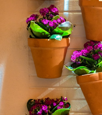 The flexibility in decoration with flower pots